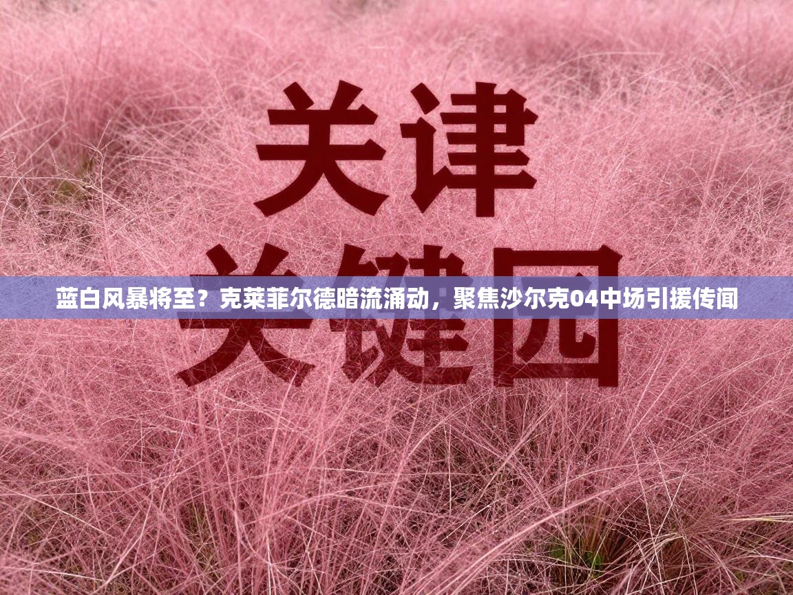 蓝白风暴将至？克莱菲尔德暗流涌动，聚焦沙尔克04中场引援传闻  第1张