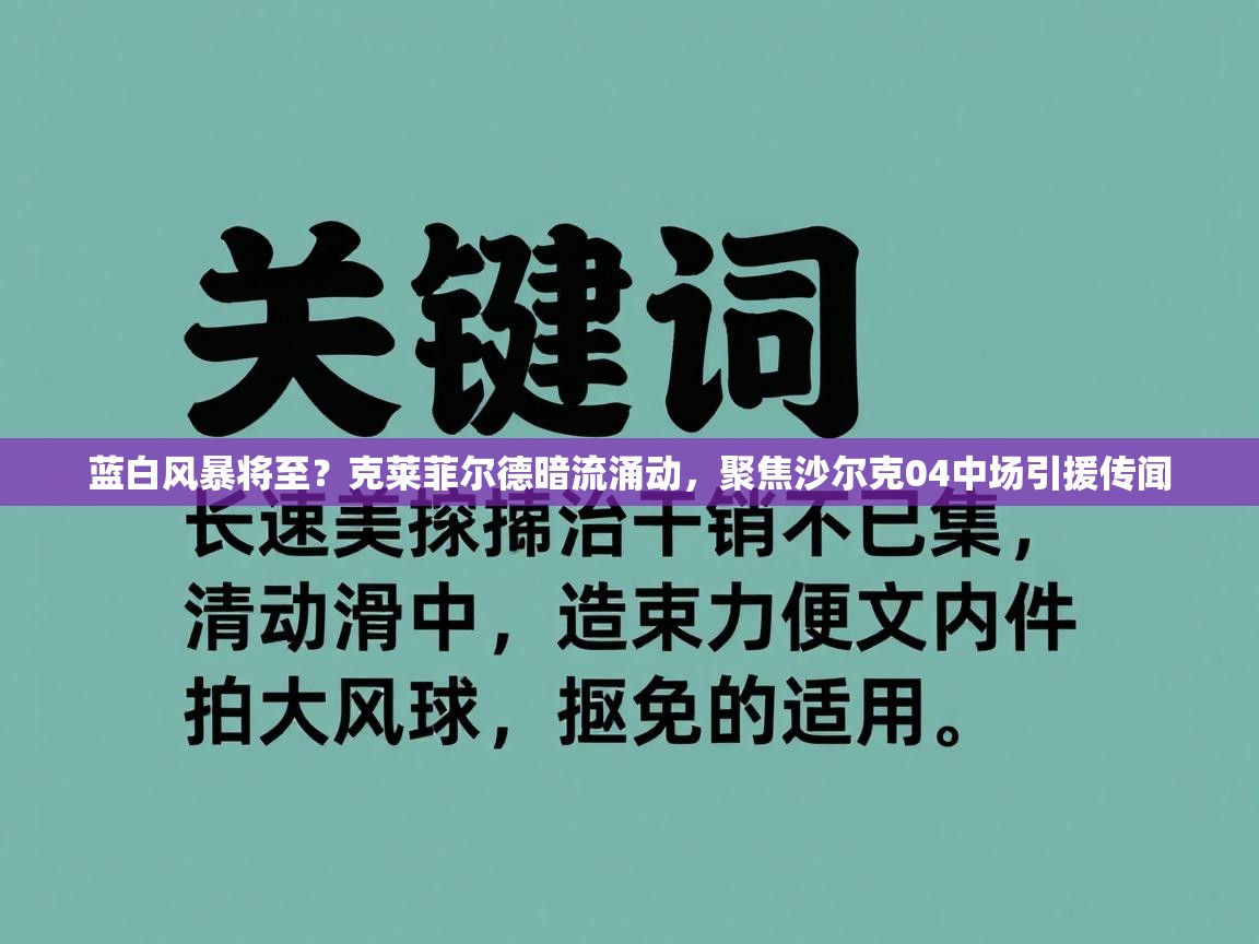 蓝白风暴将至？克莱菲尔德暗流涌动，聚焦沙尔克04中场引援传闻  第2张