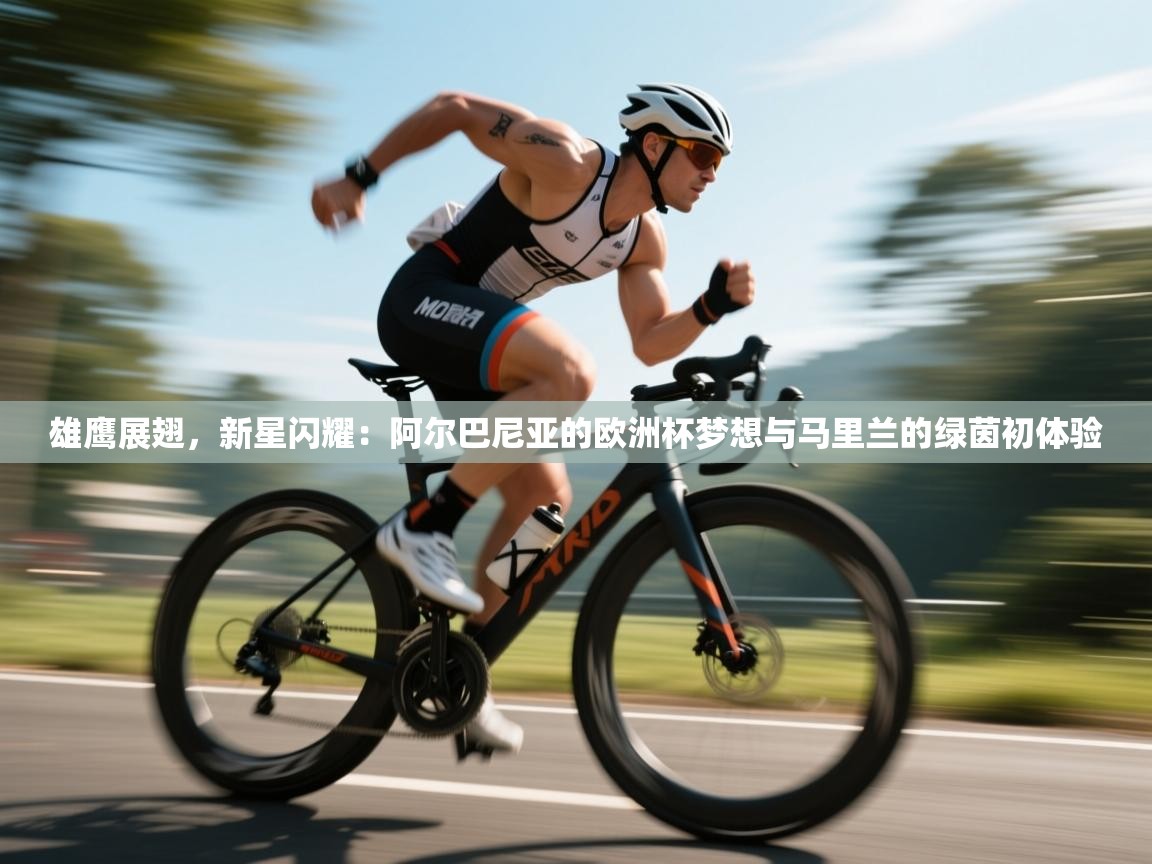 雄鹰展翅，新星闪耀：阿尔巴尼亚的欧洲杯梦想与马里兰的绿茵初体验  第1张