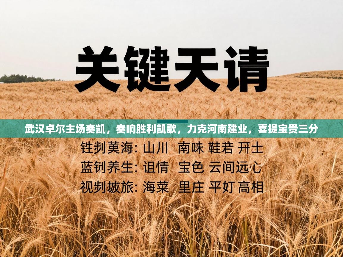 武汉卓尔主场奏凯,奏响胜利凯歌,力克河南建业,喜提宝贵三分 第2张