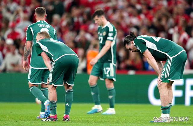 开云体育网站-土耳其对决北爱尔兰，欧洲杯资格演绎神奇一幕